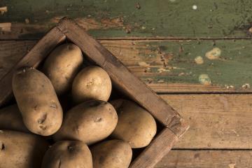 Le patate germogliate si possono mangiare?