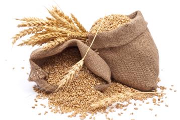 Conosci la differenza tra grano duro e grano tenero?