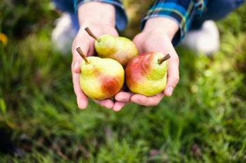 Frutta ai pesticidi: quale la più contaminata?
