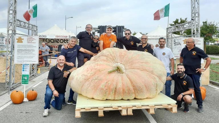 La zucca più grande del mondo è italiana, toscana per la precisione