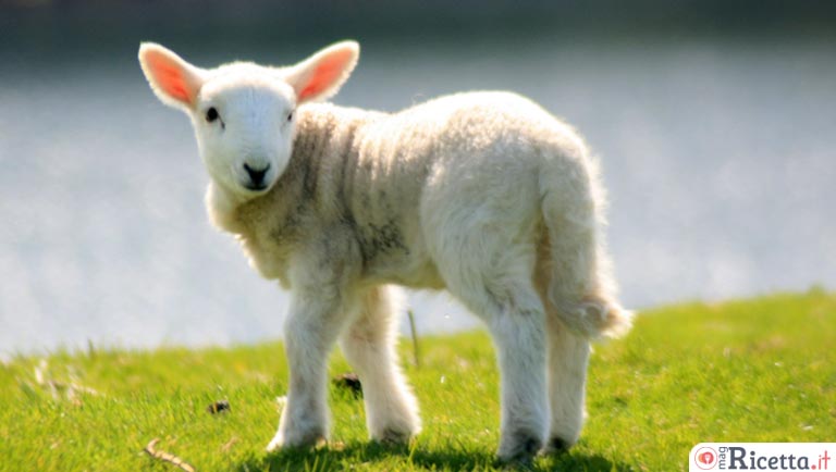Perché a Pasqua si mangia l'agnello?