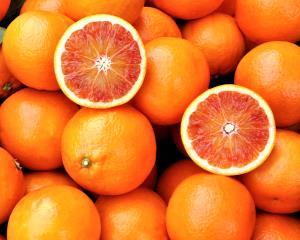 Tutte le varianti delle arance rosse di sicilia